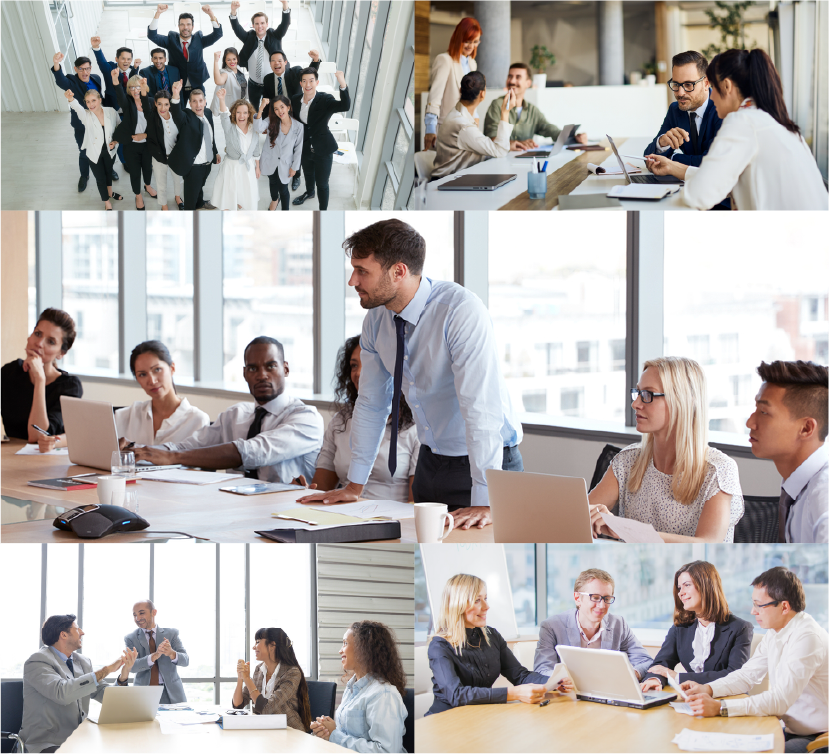 Hands holding fresh vegetables